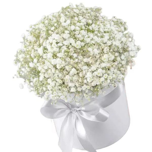 Букет из белой гипсофилы в шляпной коробке