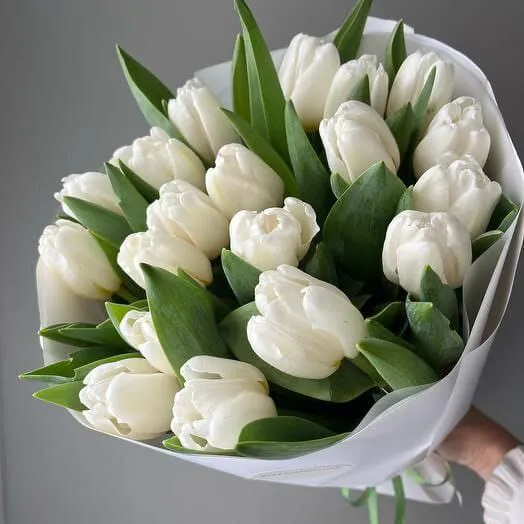 Букет из белых тюльпанов