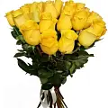 Желтые розы Желтые розы