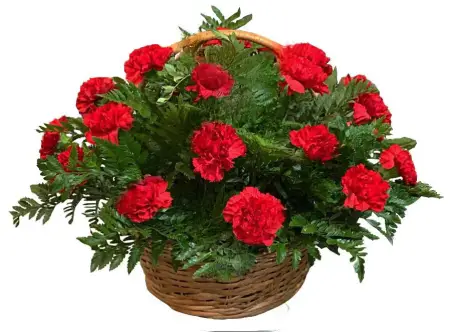 Траурная корзина с красными гвоздиками