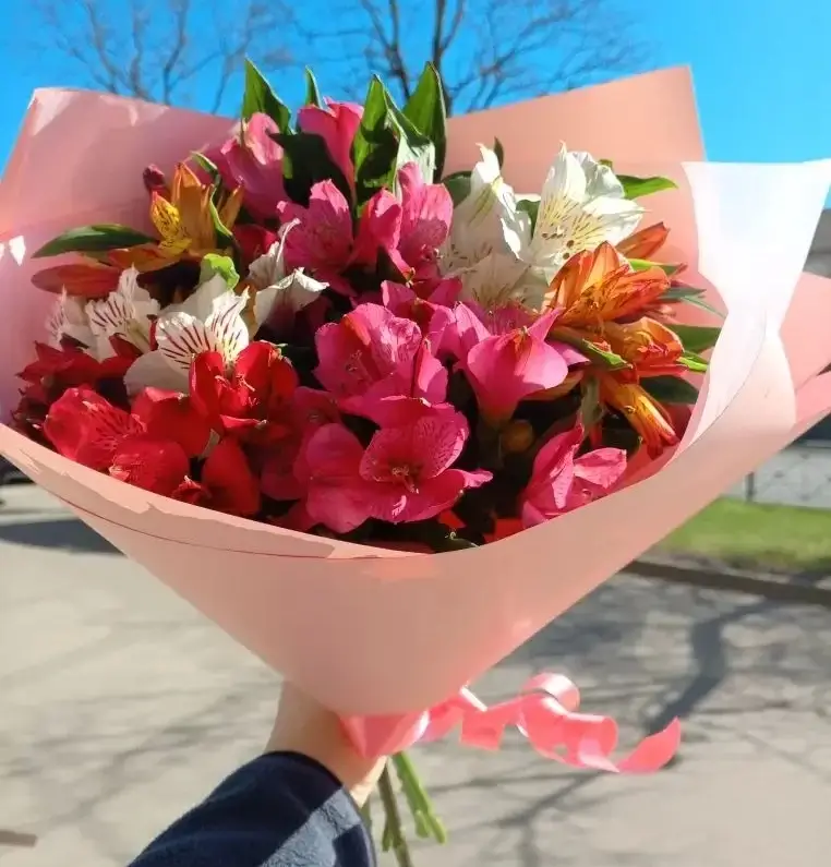 Солнечные чувства