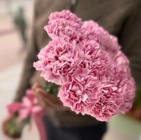 Моно букет из 15 розовых гвоздик под ленту